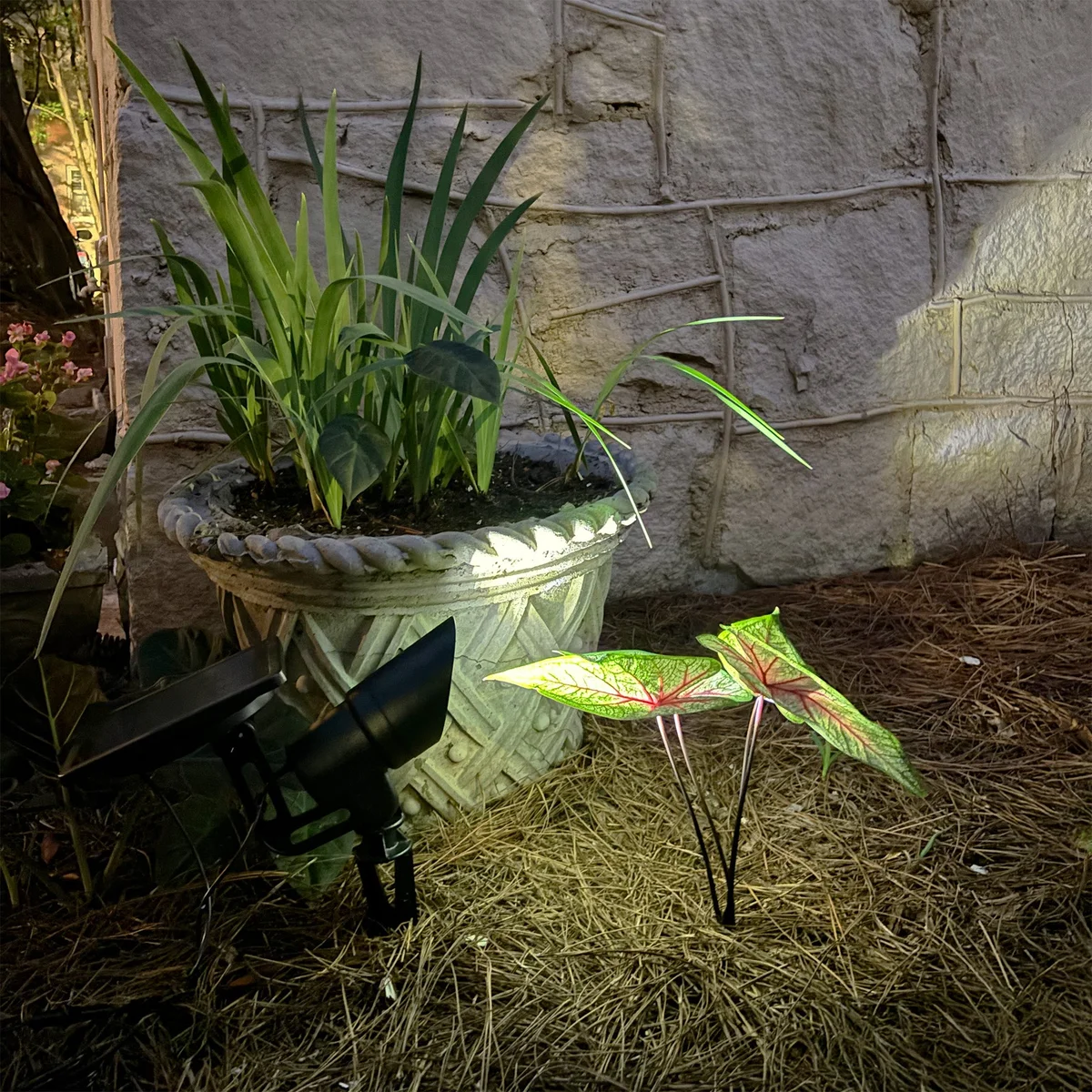 Tri-Color Progressive Outdoor Solar LED Spotlight - Image 2