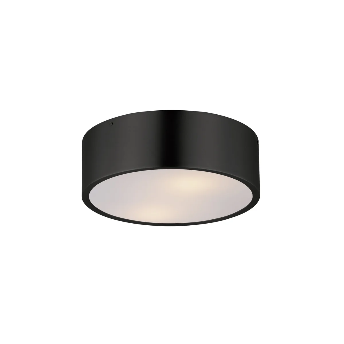 Tommy 12" 2-Light Surface Mount Ceiling Light