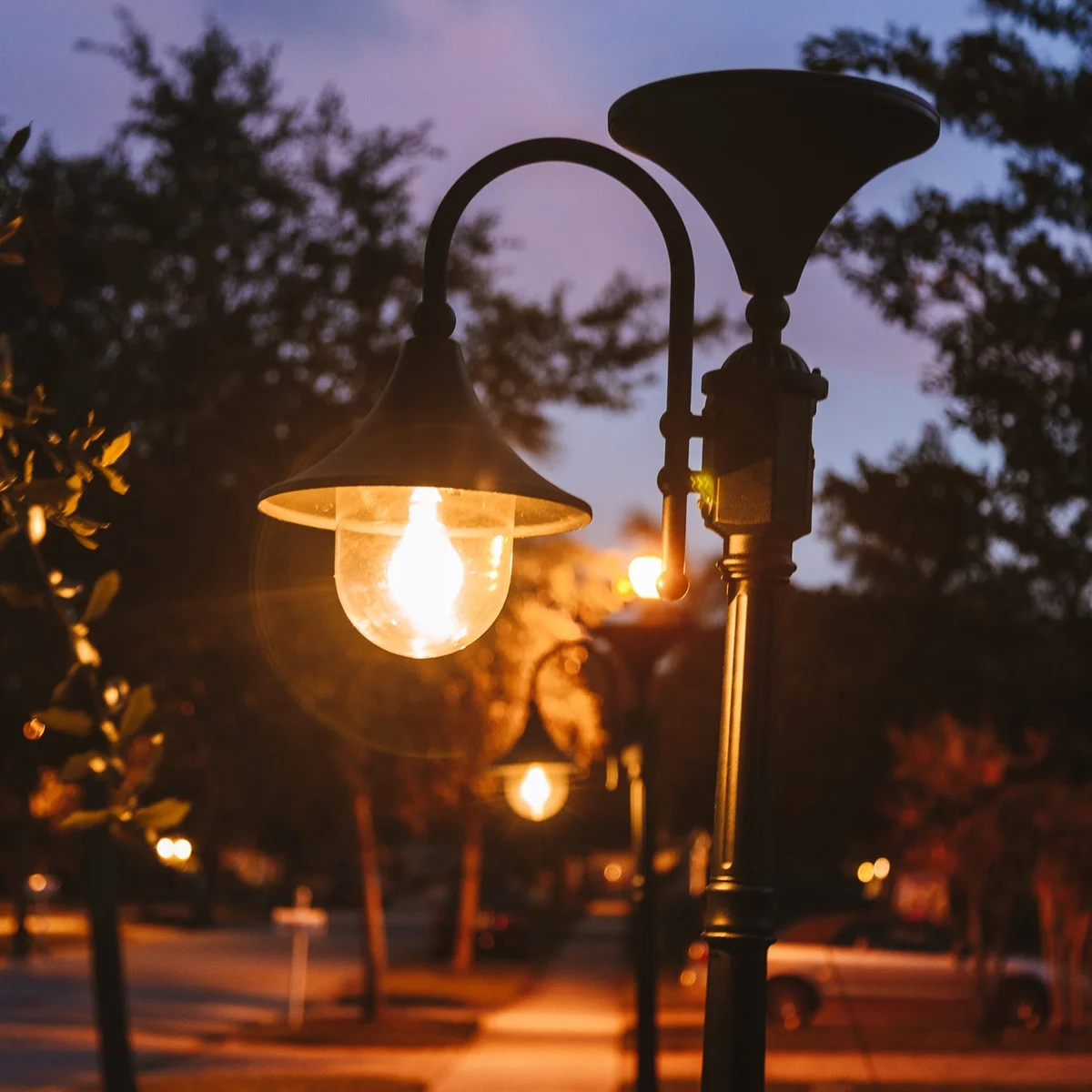 Everest Solar Lamp w/GS Solar Light Bulb - Image 3