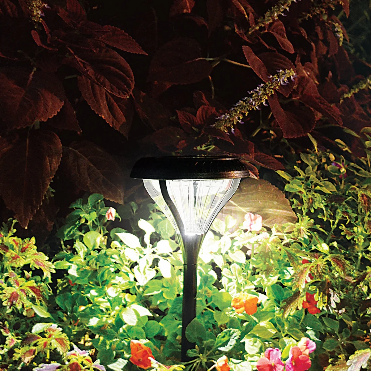 Premier Garden Pathway Dual Color Light, 3100K or 6000K - Image 4