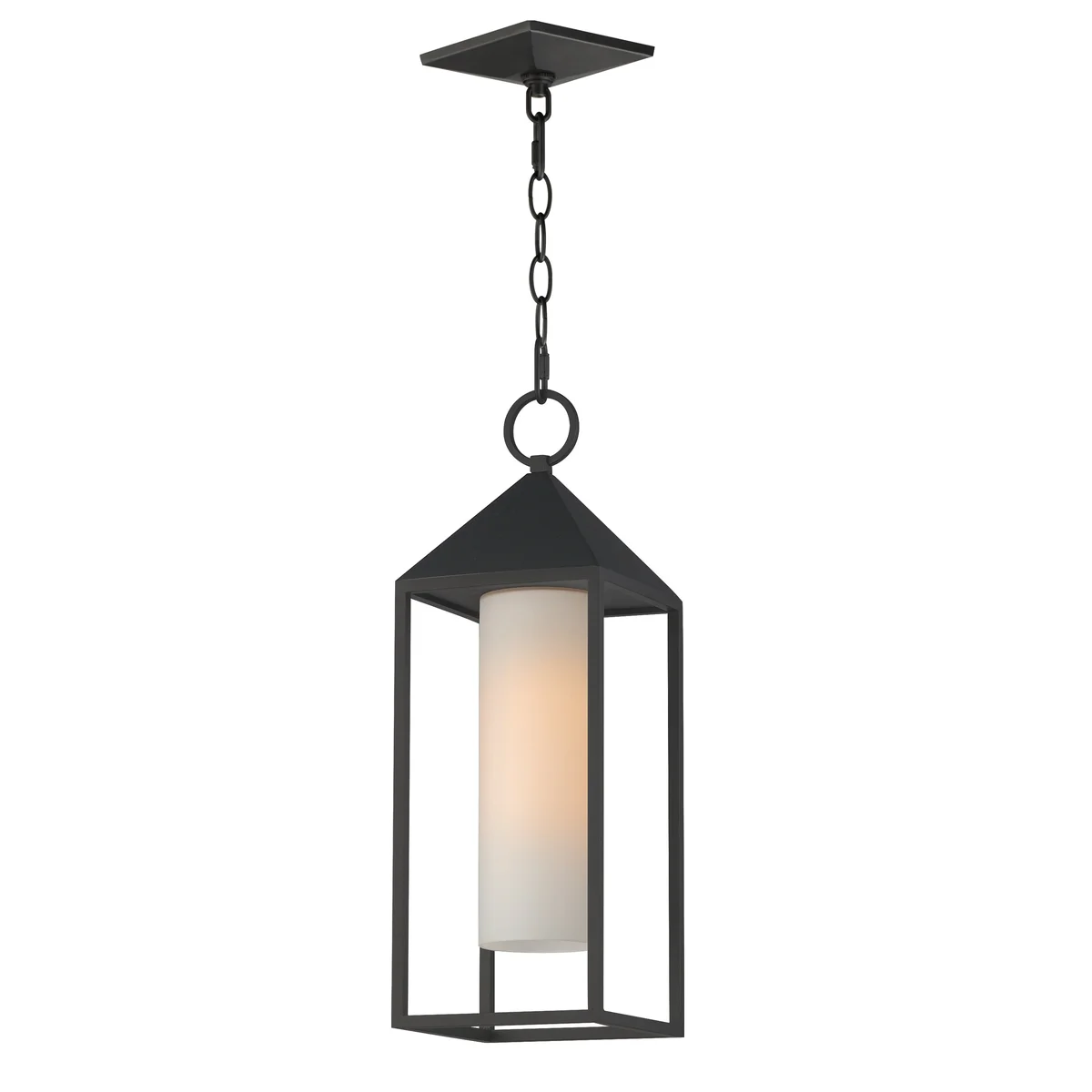 Aldous 1-Light Outdoor Pendant, Black