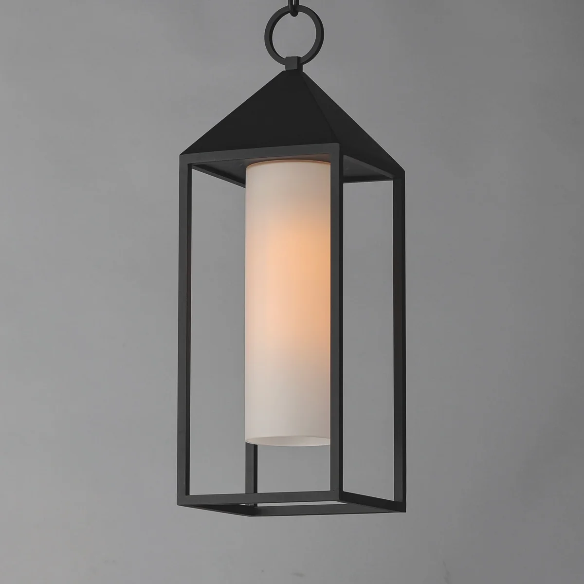 Aldous 1-Light Outdoor Pendant, Black - Image 3