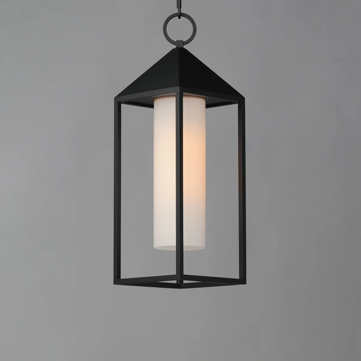 Aldous 1-Light Outdoor Pendant, Black - Image 4