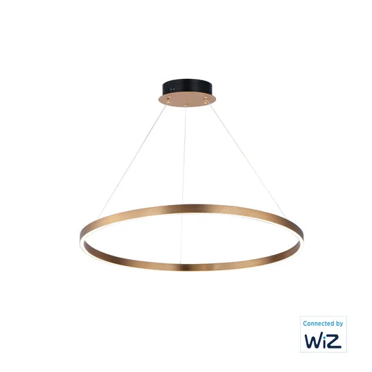 32" Hover LED Pendant, 3,000 Lumens, 35W, 120V, 2700-6000K CCT, Black or Gold Finish - Image 3