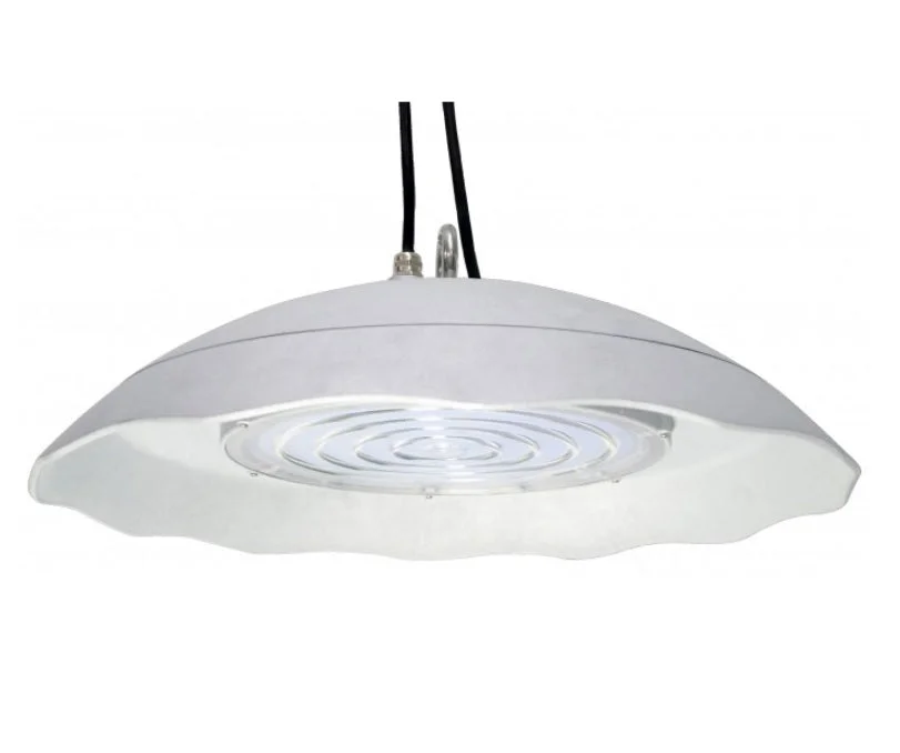 NSF LED Food Service and Laboratory High Bay, 200 watt, 100-277V