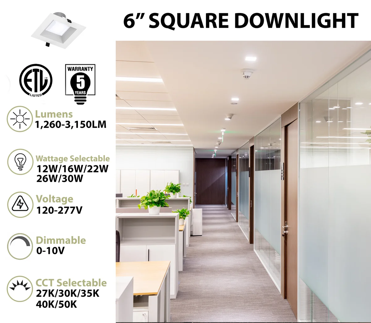 6" LED Square Commercial Downlight, 3150 Lumen Max, Wattage & CCT Selectable, 120-277V - Image 2